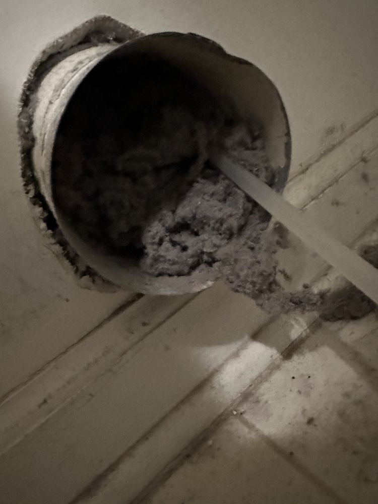 Rodney's Carpet Cleaning - upholstery in Yorktown, VA