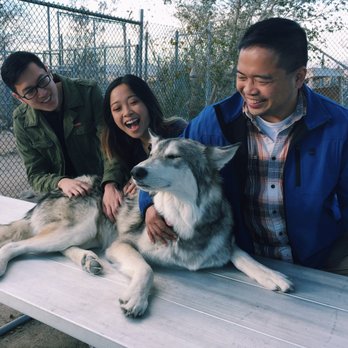 Wolf Mountain Sanctuary - Animal Shelters Near Me - Lucerne Valley, California Wolf Mountain Sanctuary - Animal Shelters Near Me - Lucerne Valley, California