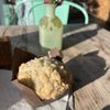 Slow Hand Coffee  Bakeshop gift card