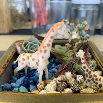 The Garden Home - Giraffes living in my mini succulent garden - Home Decor Near Me The Garden Home - Giraffes living in my mini succulent garden - Home Decor Near Me