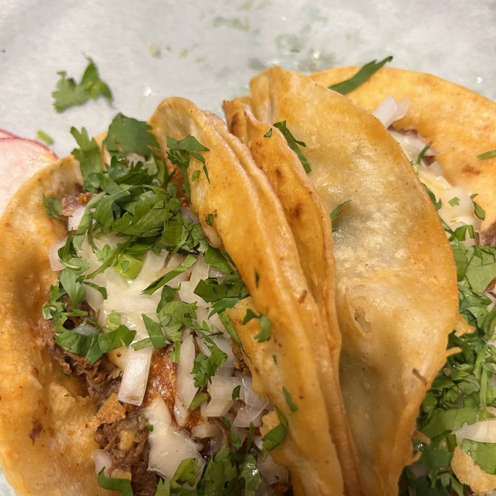 El Rulas Tacos - three tacoss on a plate - Mexican Near Me - Manassas, Virginia El Rulas Tacos - three tacoss on a plate - Mexican Near Me - Manassas, Virginia
