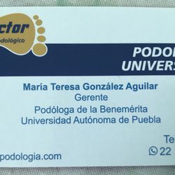 Vector - Tarjeta del negocio.