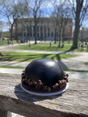 Tatte Bakery & Cafe | Harvard Square by null