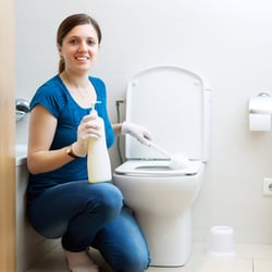 Fast Response Plumbing - What everyone ought to know about their toilet. http://www.fastresponseplumbing.com/everybody-know-toilet/