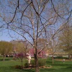 Buford M. Watson, Jr. Park