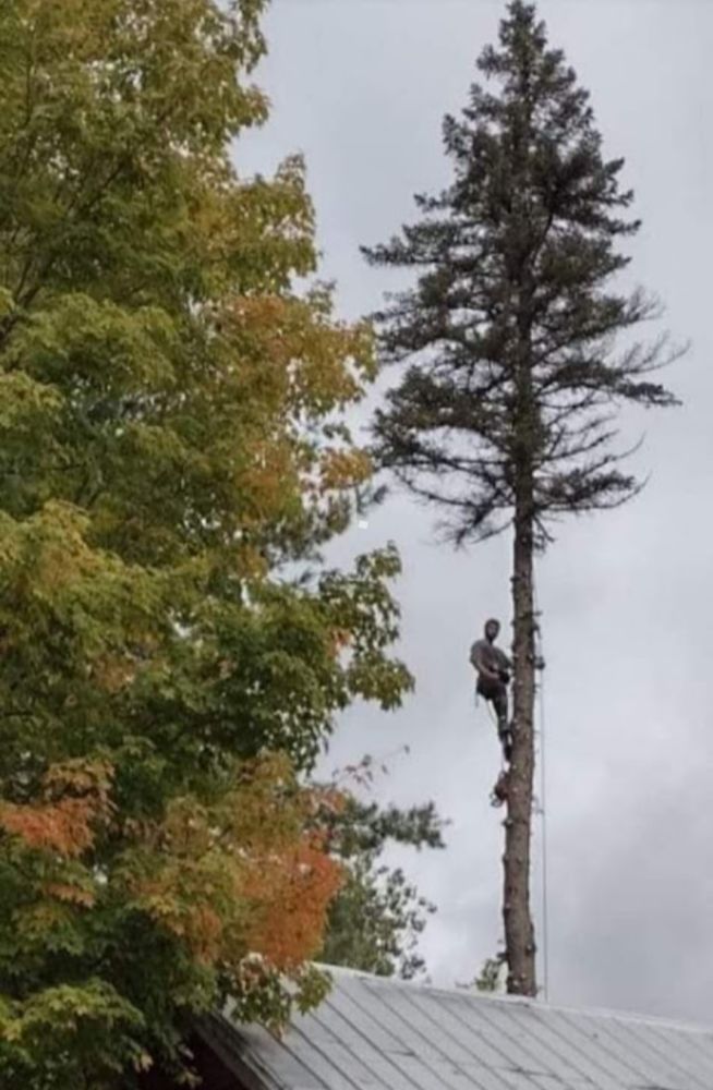 Slide of Jamie VanEtten