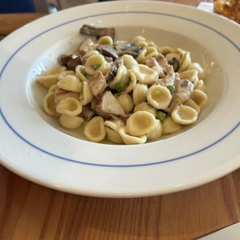 Frenchie - Orecchiette Pasta with grilled Chicken, mushrooms, green peas and Parmesan cream sauce - French Near Me - Dallas, Texas