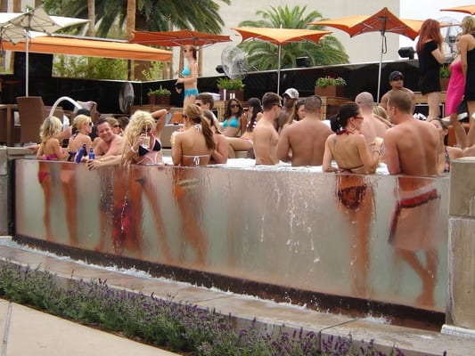 Bare Pool Lounge by null