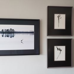 Art and Frame of Falls Church - A selection of some items that have been framed for me at Art and Frame of Falls Church. (Okay, I have a penchant for black and white art)