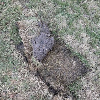 Grace Landscaping and Tree Service - Sod laid on top of sod. - Landscaping Near Me