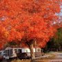 Photo of Scottyland Camping Resort & Rv Sales Center