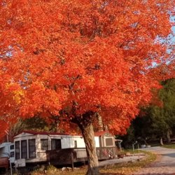 Scottyland Camping Resort & Rv Sales Center