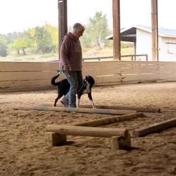 Top Dog Canine Classroom - A nice "heel" through the obstacle course. - Pet Training Near Me - Grass Valley, California Top Dog Canine Classroom - A nice "heel" through the obstacle course. - Pet Training Near Me - Grass Valley, California