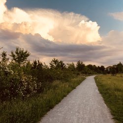 Hundewiese Trudering
