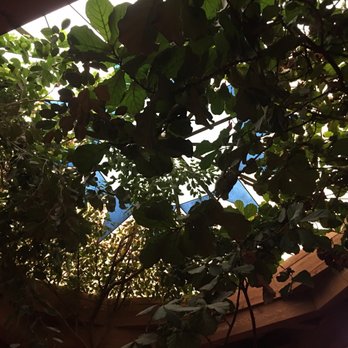 El Pinto - New Mexican Cuisine Near Me - Albuquerque, New Mexico
