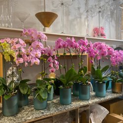 Tala Florist