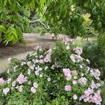 Blake Garden - Parks Near Me - Kensington, California