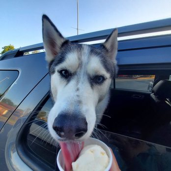 Baskin Robbins - This location is amazing. Tim is always so bubbly and happy! He even got my puppy a small treat of his own. Definately recommend going here! - Ice Cream & Frozen Yogurt Near Me - San Jose, California