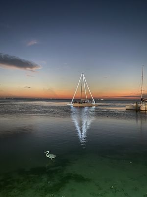 Laguna BOB by null