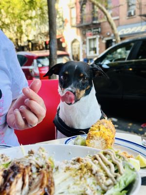 Miss Lily's 7A Cafe by null