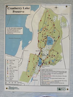 Cranberry Lake Preserve by null