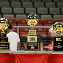 Rio Grande Valley Vipers - The Rio Grande Valley Vipers are three-time NBA D-League / G League champions. 2010, 2013, 2019.