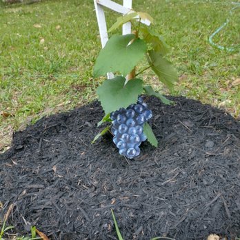 J&R Landscaping and Construction - After - Landscaping Near Me J&R Landscaping and Construction - After - Landscaping Near Me