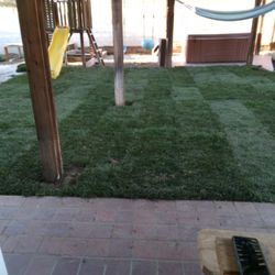 1 Neat Landscaping Lawn Maintenance N Tree Services - LAYING DOWN SOD