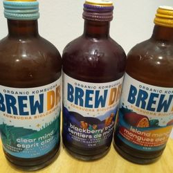 Brew Dr. Kombucha - Love their creative flavours. Clear Mind, Blackberry Trails and Island Mango here.