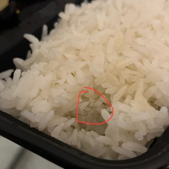 Cafe 101 - Rice - Chinese Near Me - Houston, Texas Cafe 101 - Rice - Chinese Near Me - Houston, Texas