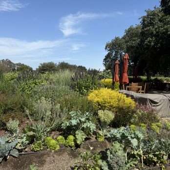 Roblar Winery - Farm atmosphere - Wineries Near Me - Santa Ynez, California Roblar Winery - Farm atmosphere - Wineries Near Me - Santa Ynez, California