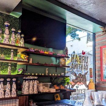 Urban Cantina - Bar view - Mexican Near Me - Tampa, Florida Urban Cantina - Bar view - Mexican Near Me - Tampa, Florida