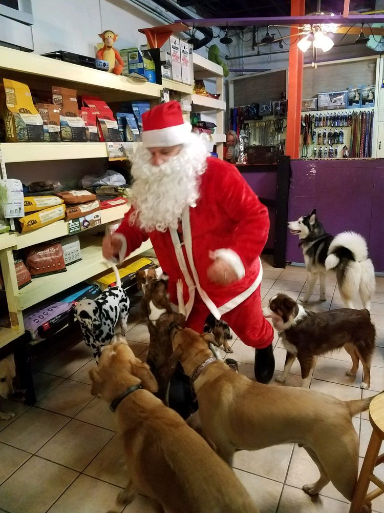 FUZZY PANTS PET STOP 26 Reviews Pet Stores 276 Shrewsbury St