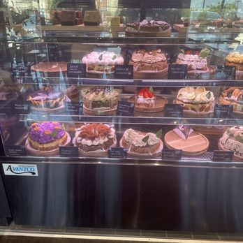 Petit Four Dessert Cafe - Desserts Near Me - Carrollton, Texas Petit Four Dessert Cafe - Desserts Near Me - Carrollton, Texas