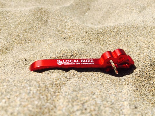 Dunas de Maspalomas by null