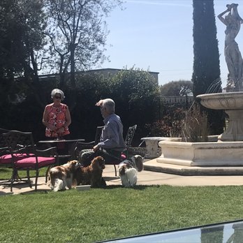 Berghold Vineyards & Winery - Doggie friendly - Wineries Near Me - Lodi, California