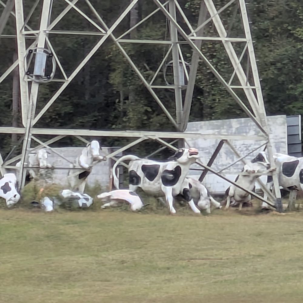 Electrocuted Cows - Electrocuted Cows, Conyers - Public Art Near Me - Conyers, Georgia