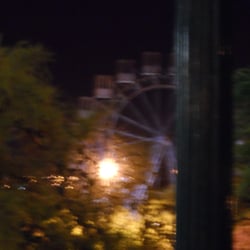 Paseo del Coniferal