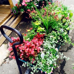 Timmy’s Roadside Gardens