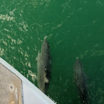 Cortez Deep Sea Fishing - Fishing Near Me - Cortez, Florida