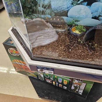 Petco - Turtle - Pet Training Near Me - Granada Hills, California Petco - Turtle - Pet Training Near Me - Granada Hills, California