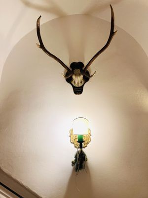 Restaurant Goldener Hirsch by null