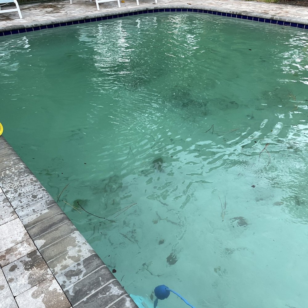 In Shore Pool Services - Filthy pool - Pool & Hot Tub Service Near Me In Shore Pool Services - Filthy pool - Pool & Hot Tub Service Near Me
