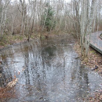 Narbeck Wetland Sanctuary - Frozen water. - Parks Near Me - Everett, Washington Narbeck Wetland Sanctuary - Frozen water. - Parks Near Me - Everett, Washington