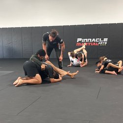 Pinnacle Martial Arts