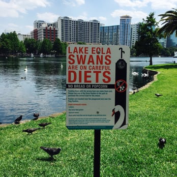 Lake Eola Park - Parks Near Me - Orlando, Florida