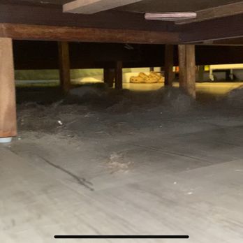 Stellar Cleaning Service - Under bed in master bedroom - Window Washing Near Me - Portland, Oregon Stellar Cleaning Service - Under bed in master bedroom - Window Washing Near Me - Portland, Oregon