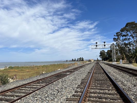 Leila by the Bay by null