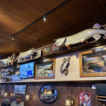 Angler's Bar & Grill - a fish display - Pizza Near Me - Hayward, Wisconsin