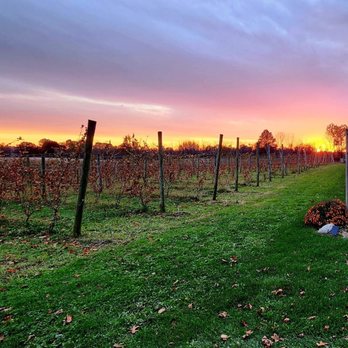 Hickory Creek Winery - Wineries Near Me - Buchanan, Michigan